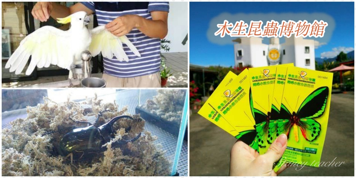 南投木生昆蟲博物館｜南投親子景點｜南投室內景點（門票價格） @Stancy Teacher 美味異想世界