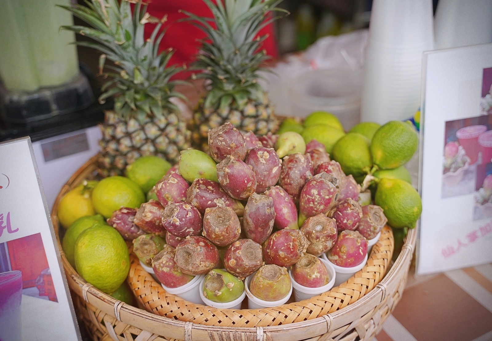 澎湖美食|二崁聚落二崁一號陳家仙人掌果汁|冰花果汁季節限定香純好喝又消暑 澎湖美食|二崁聚落二崁一號陳家仙人掌果汁|冰花果汁季節限定香純好喝又消暑