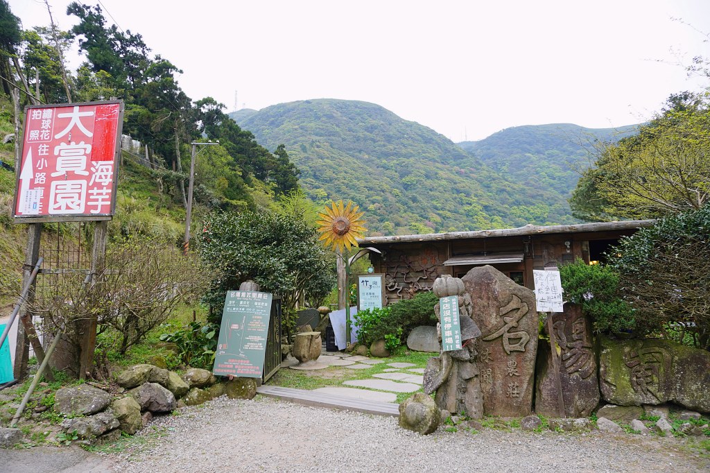 陽明山海芋田|名陽匍休閒農莊|海芋田仙氣十足,網美鞦韆小木屋好浪漫 陽明山海芋田|名陽匍休閒農莊|海芋田仙氣十足,網美鞦韆小木屋好浪漫