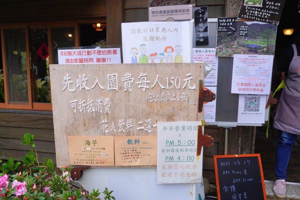 陽明山海芋田｜名陽匍休閒農莊｜海芋田仙氣十足，網美鞦韆小木屋好浪漫
