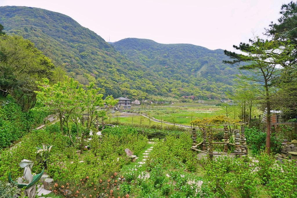 陽明山海芋田|名陽匍休閒農莊|海芋田仙氣十足,網美鞦韆小木屋好浪漫 陽明山海芋田|名陽匍休閒農莊|海芋田仙氣十足,網美鞦韆小木屋好浪漫