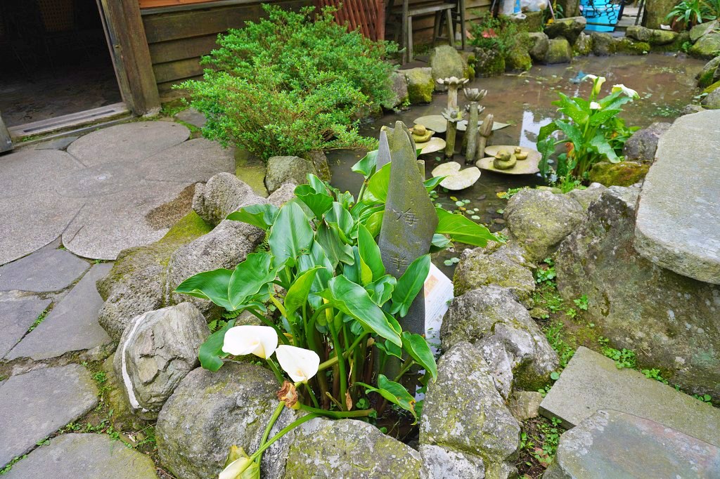 陽明山海芋田｜名陽匍休閒農莊｜海芋田仙氣十足，網美鞦韆小木屋好浪漫