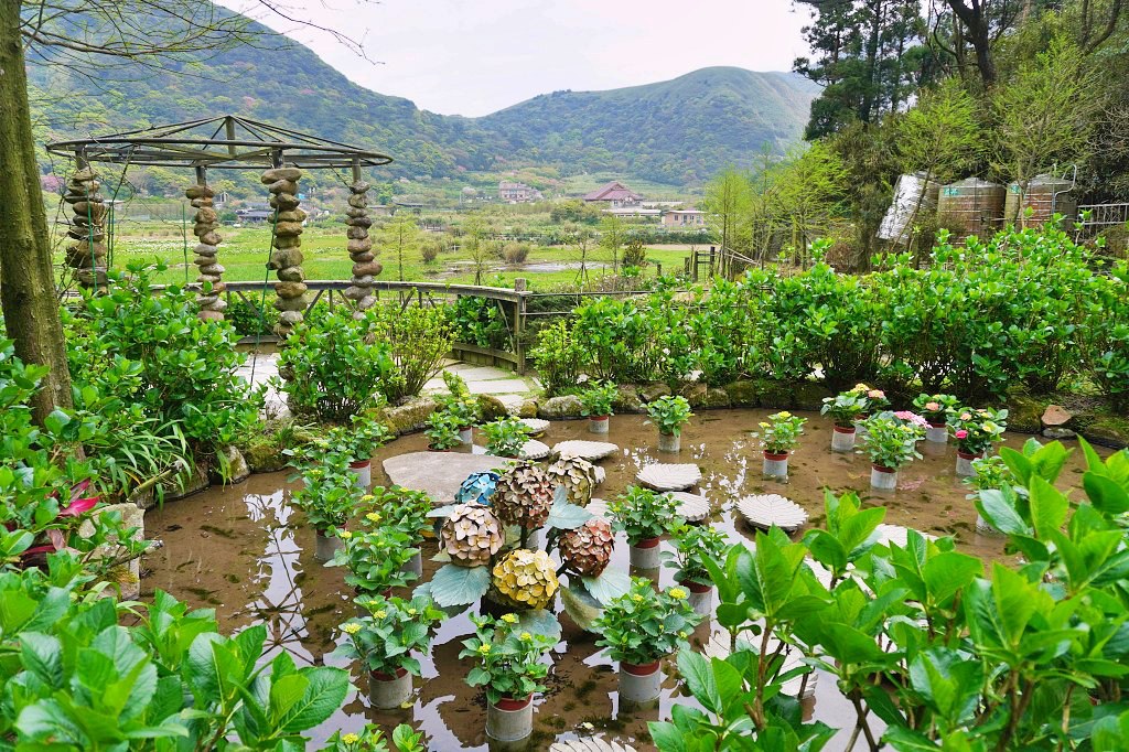 陽明山海芋田｜名陽匍休閒農莊｜海芋田仙氣十足，網美鞦韆小木屋好浪漫