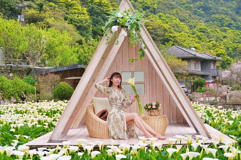 陽明山海芋田｜名陽匍休閒農莊｜海芋田仙氣十足，網美鞦韆小木屋好浪漫