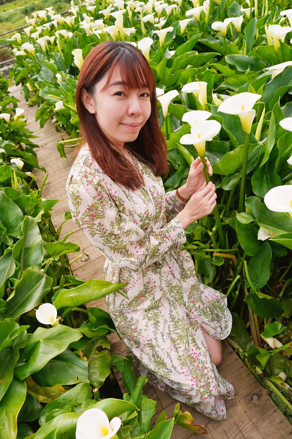 陽明山海芋田|名陽匍休閒農莊|海芋田仙氣十足,網美鞦韆小木屋好浪漫 陽明山海芋田|名陽匍休閒農莊|海芋田仙氣十足,網美鞦韆小木屋好浪漫