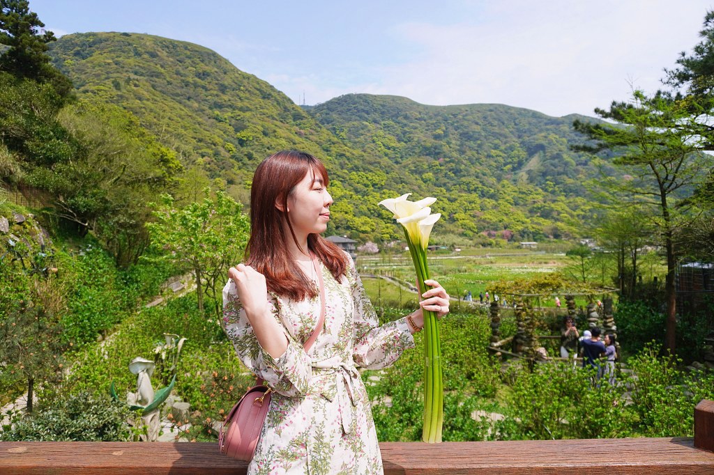 陽明山海芋田｜名陽匍休閒農莊｜海芋田仙氣十足，網美鞦韆小木屋好浪漫