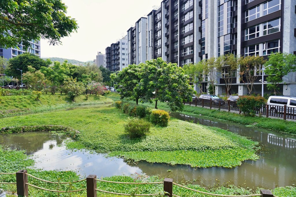 台北免費景點｜奇岩蜀葵花海 一秒掉進巨人的花園