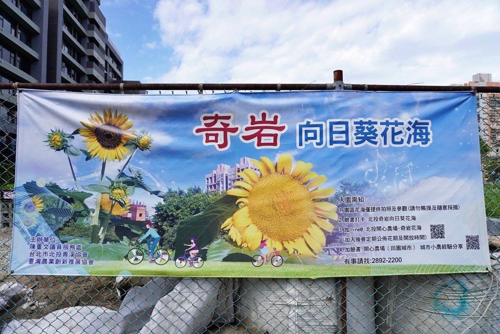 台北免費景點｜奇岩蜀葵花海 一秒掉進巨人的花園