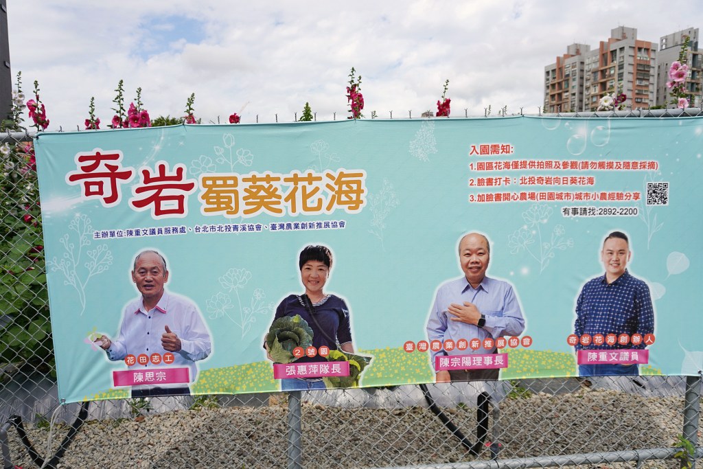 台北免費景點｜奇岩蜀葵花海 一秒掉進巨人的花園