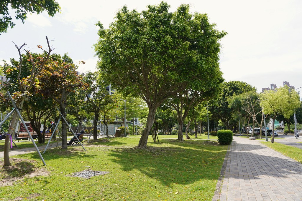 台北免費景點|奇岩蜀葵花海 一秒掉進巨人的花園 台北免費景點|奇岩蜀葵花海 一秒掉進巨人的花園