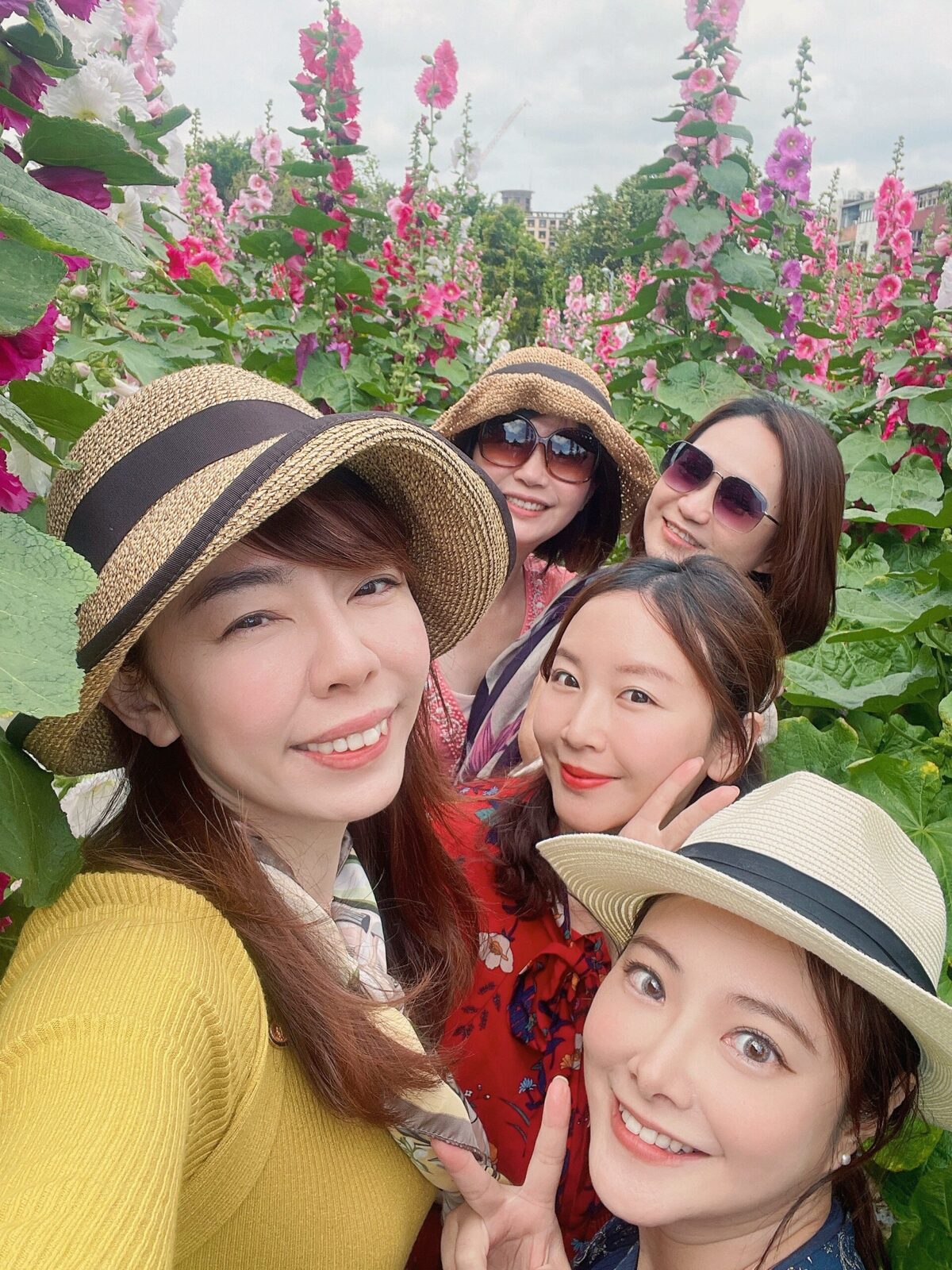台北免費景點｜奇岩蜀葵花海 一秒掉進巨人的花園