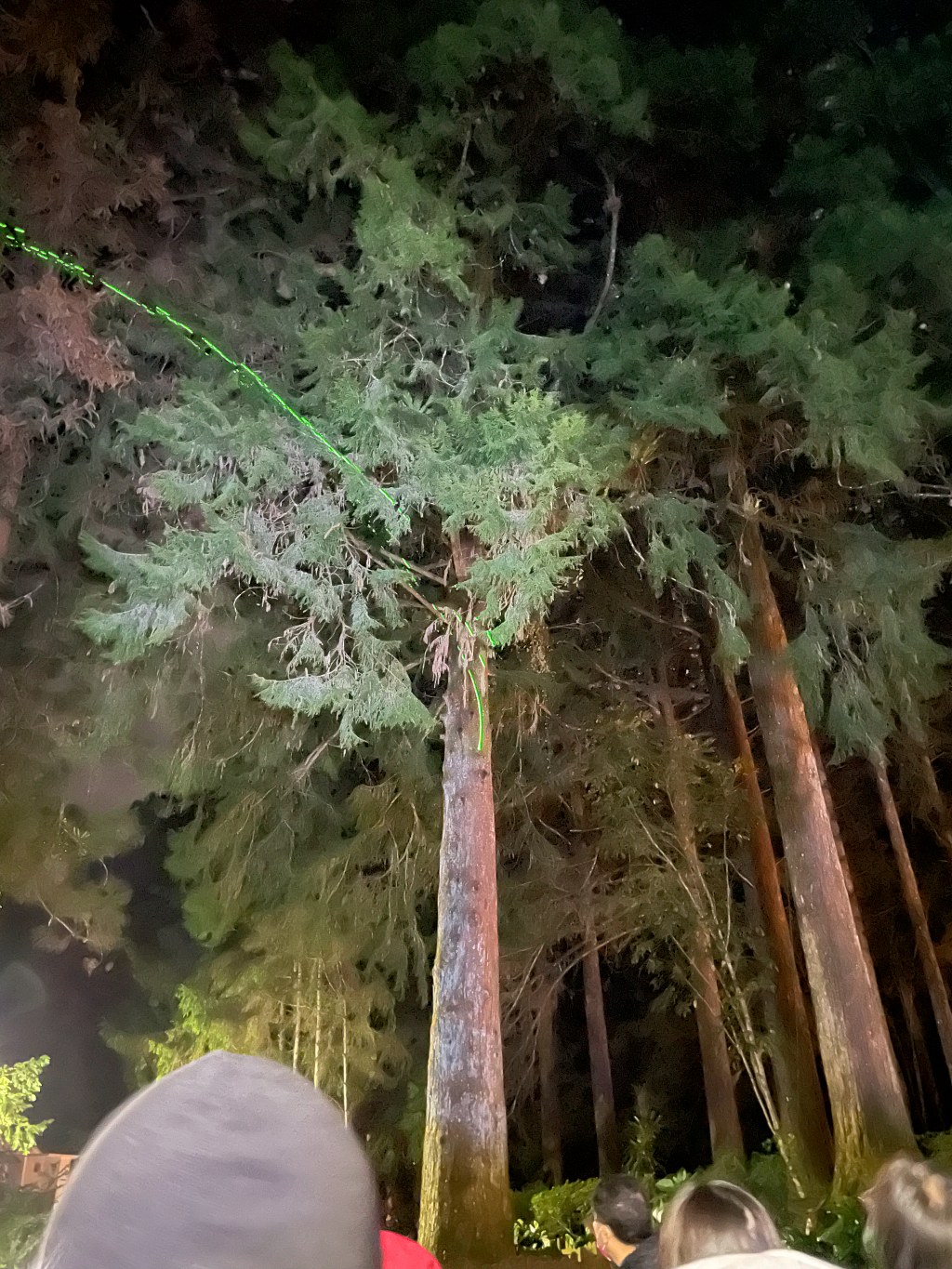 溪頭-福華渡假飯店,紅樓四人房入住心得,小螢火大玩樂 一泊二食、森林DIY活動真有趣 溪頭-福華渡假飯店,紅樓四人房入住心得,小螢火大玩樂 一泊二食、森林DIY活動真有趣