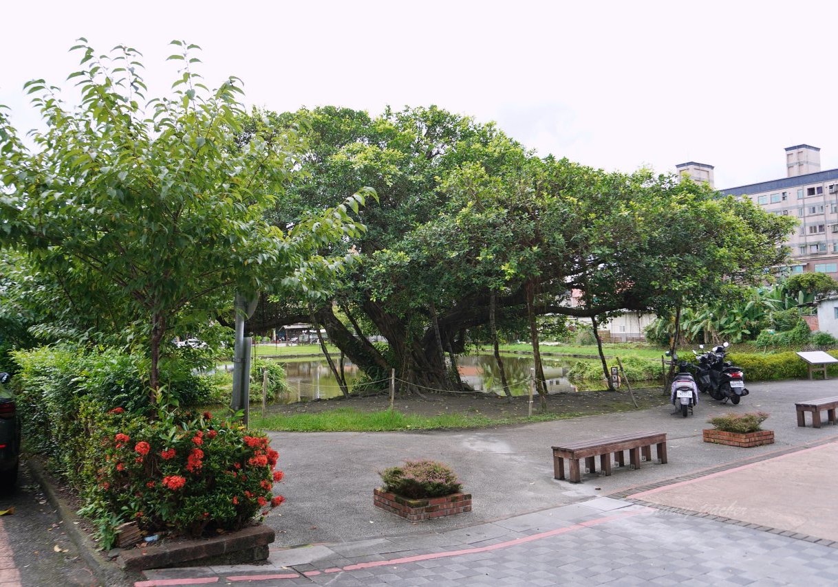 頭城老街早餐店｜手擀蔥油蛋餅、現做韭菜盒、一手無法掌握的粗大油條 老麵肉包都好吃