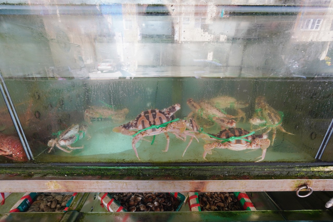 【澎湖美食】來福海鮮餐廳：澎湖海鮮餐廳合菜 在地30年老店 私房干貝醬、小魚花生買的都是內行人