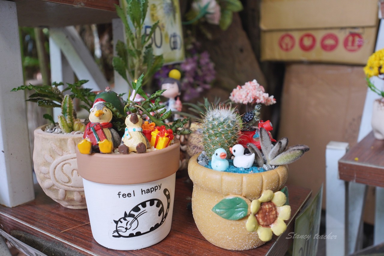 南投埔里多肉秘境 中正店，透明泡泡屋藍色大地球拍照打卡，免門票便宜多肉盆栽讓你買到手軟