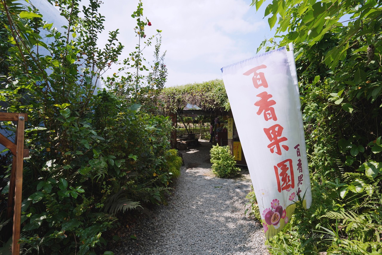 南投埔里多肉秘境 中正店，透明泡泡屋藍色大地球拍照打卡，免門票便宜多肉盆栽讓你買到手軟