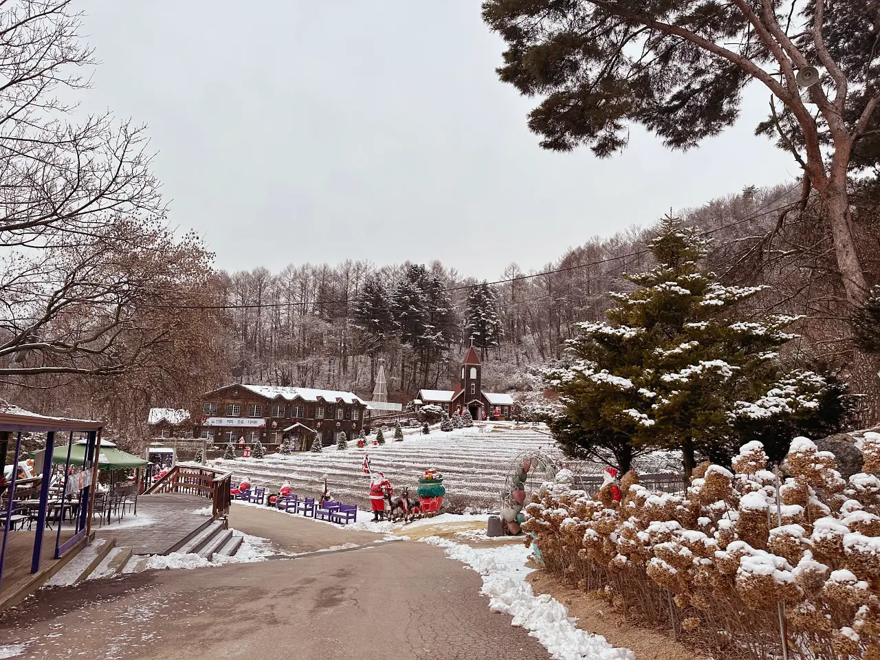 香草島樂園 首爾一日遊景點推薦,韓國最大香草植物園白雪皚皚超級浪漫(交通、票價) 香草島樂園 首爾一日遊景點推薦,韓國最大香草植物園白雪皚皚超級浪漫(交通、票價)