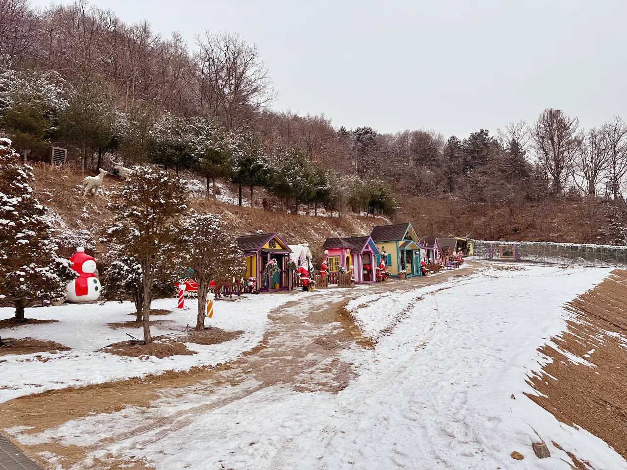 香草島樂園 首爾一日遊景點推薦,韓國最大香草植物園白雪皚皚超級浪漫(交通、票價) 香草島樂園 首爾一日遊景點推薦,韓國最大香草植物園白雪皚皚超級浪漫(交通、票價)