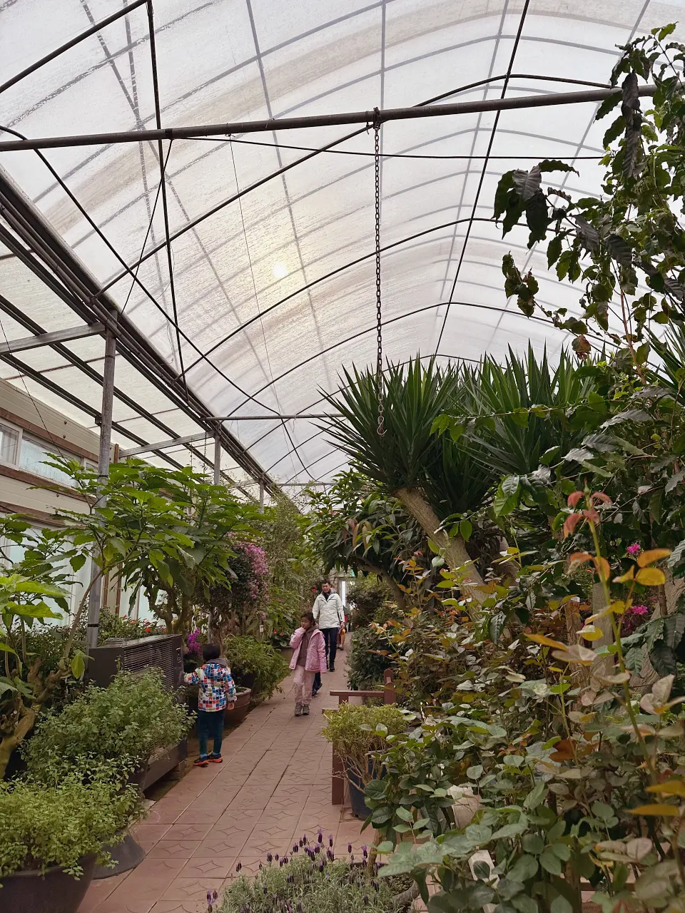 香草島樂園 首爾一日遊景點推薦，韓國最大香草植物園白雪皚皚超級浪漫（交通、票價）