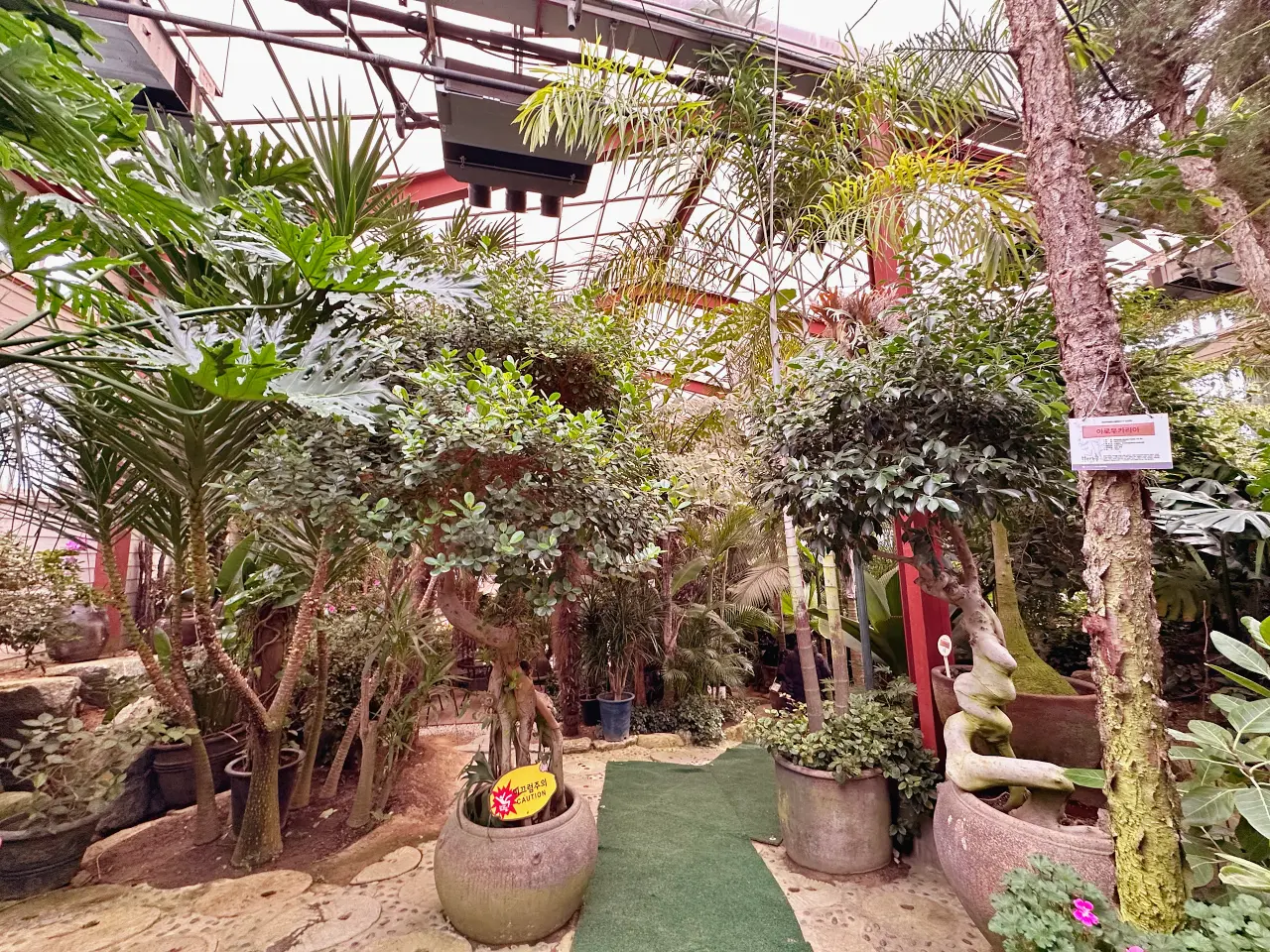 香草島樂園 首爾一日遊景點推薦，韓國最大香草植物園白雪皚皚超級浪漫（交通、票價）