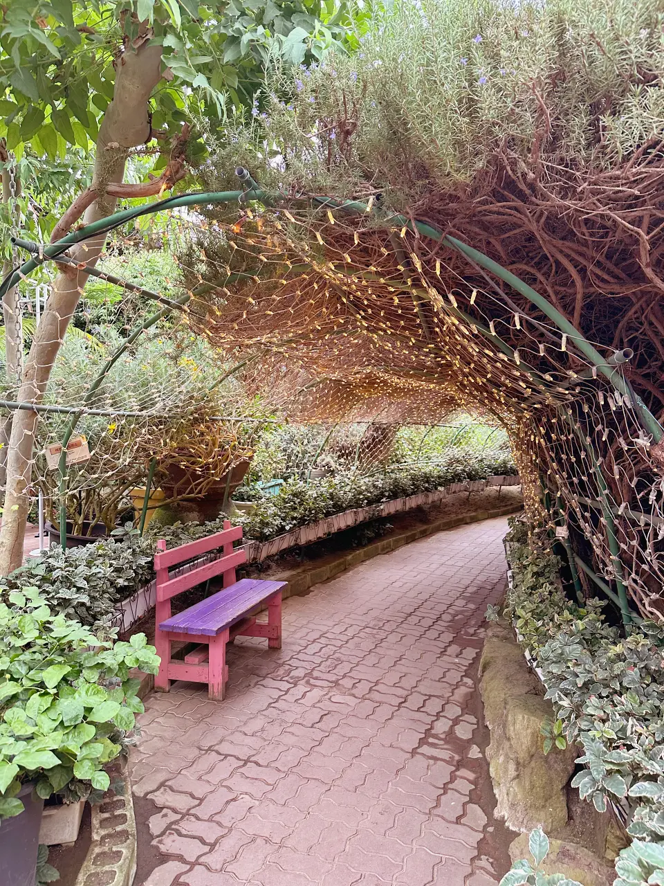 香草島樂園 首爾一日遊景點推薦，韓國最大香草植物園白雪皚皚超級浪漫（交通、票價）