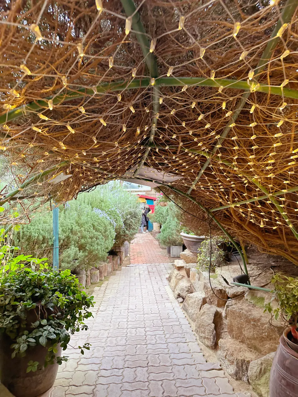 香草島樂園 首爾一日遊景點推薦,韓國最大香草植物園白雪皚皚超級浪漫(交通、票價) 香草島樂園 首爾一日遊景點推薦,韓國最大香草植物園白雪皚皚超級浪漫(交通、票價)