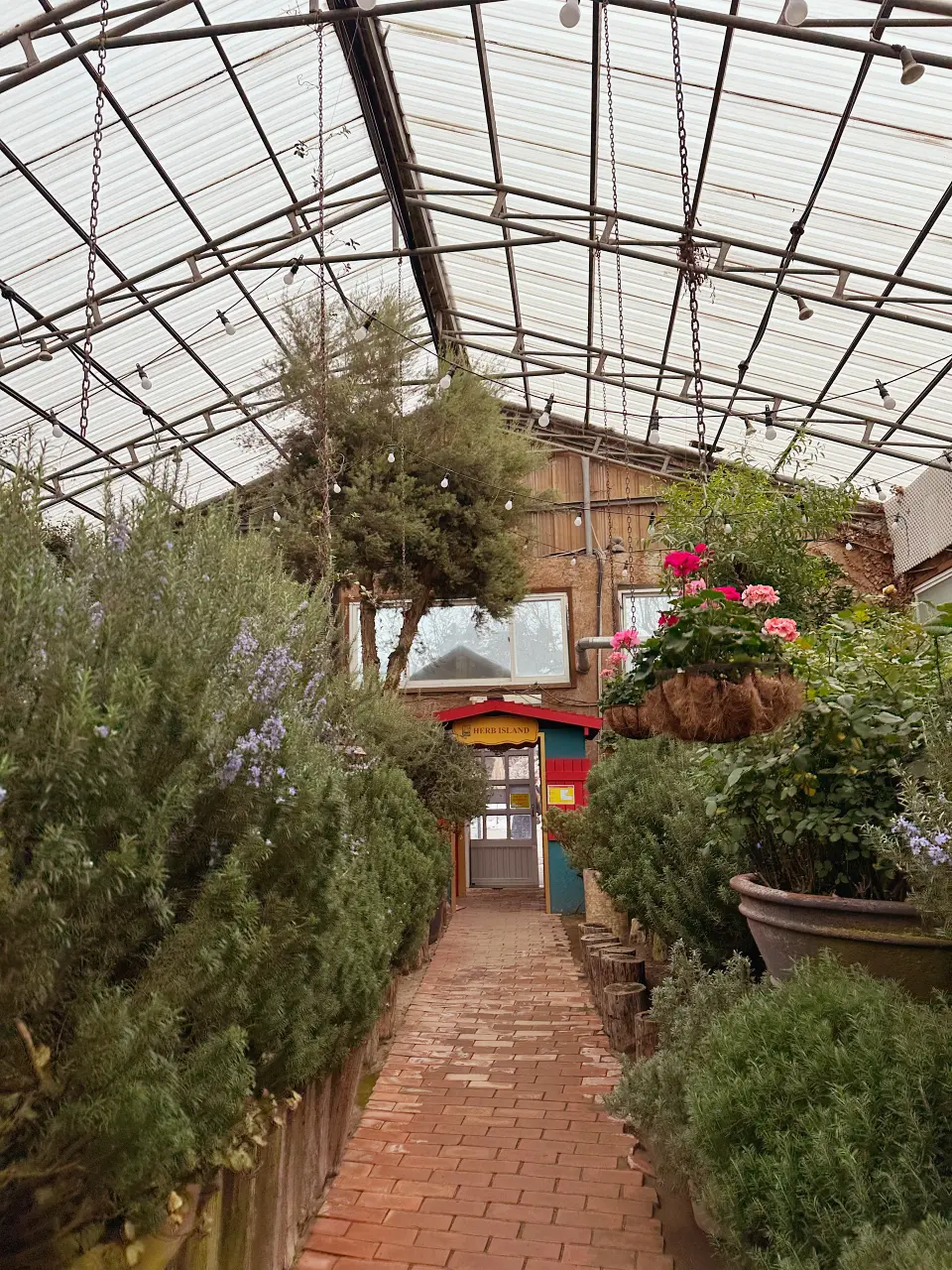 香草島樂園 首爾一日遊景點推薦，韓國最大香草植物園白雪皚皚超級浪漫（交通、票價）