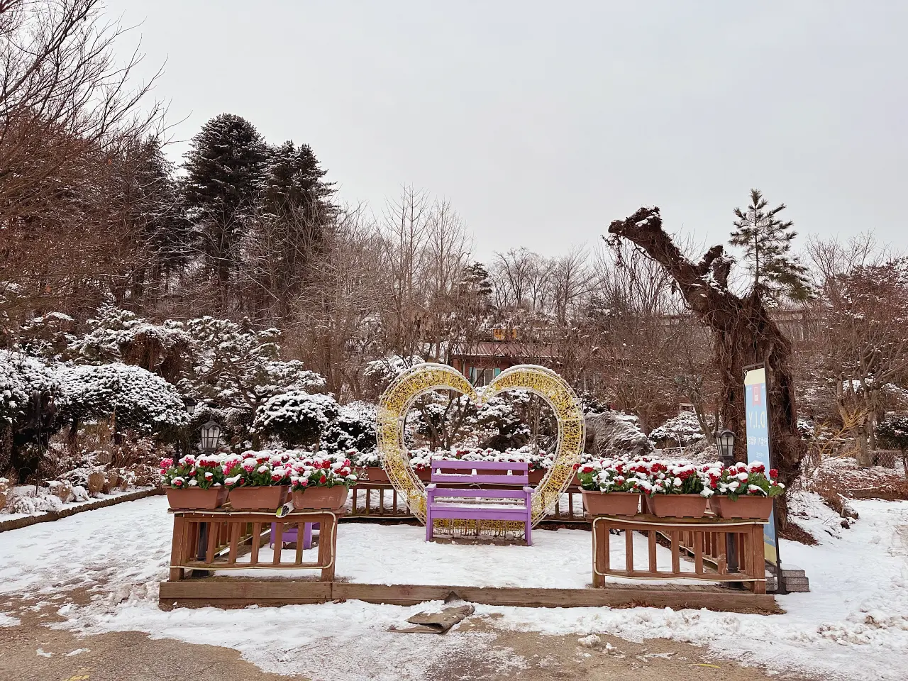香草島樂園 首爾一日遊景點推薦，韓國最大香草植物園白雪皚皚超級浪漫（交通、票價）