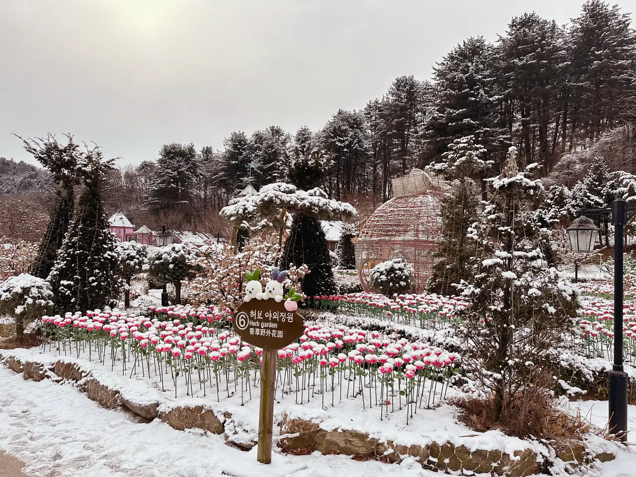 香草島樂園 首爾一日遊景點推薦，韓國最大香草植物園白雪皚皚超級浪漫（交通、票價）