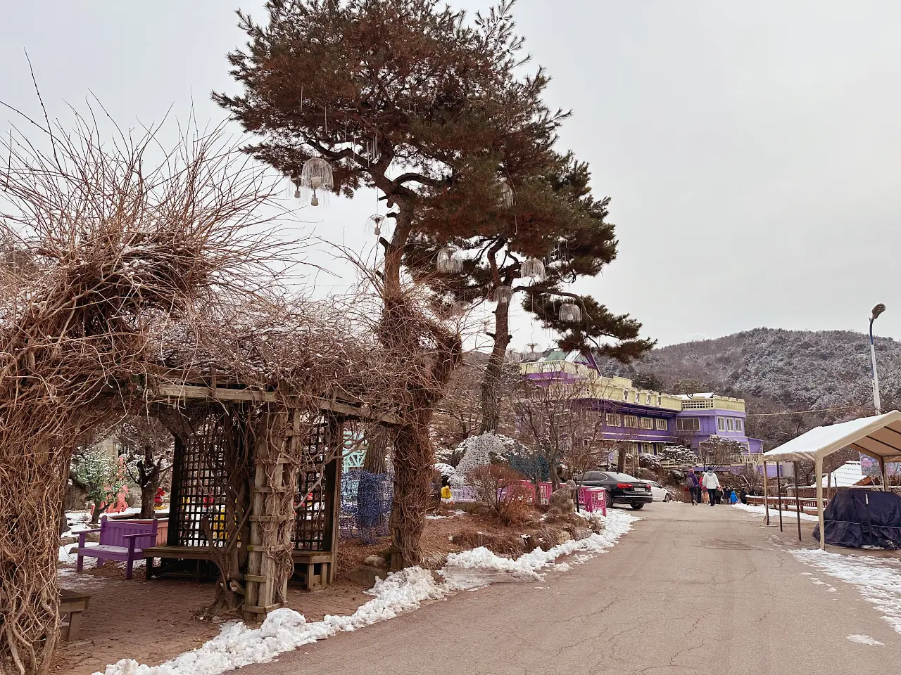 香草島樂園 首爾一日遊景點推薦,韓國最大香草植物園白雪皚皚超級浪漫(交通、票價) 香草島樂園 首爾一日遊景點推薦,韓國最大香草植物園白雪皚皚超級浪漫(交通、票價)