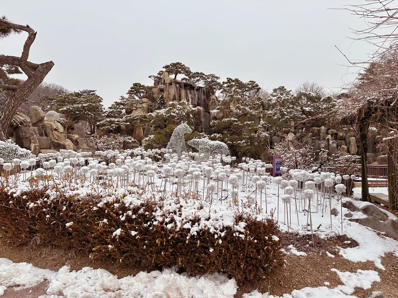 香草島樂園 首爾一日遊景點推薦,韓國最大香草植物園白雪皚皚超級浪漫(交通、票價) 香草島樂園 首爾一日遊景點推薦,韓國最大香草植物園白雪皚皚超級浪漫(交通、票價)