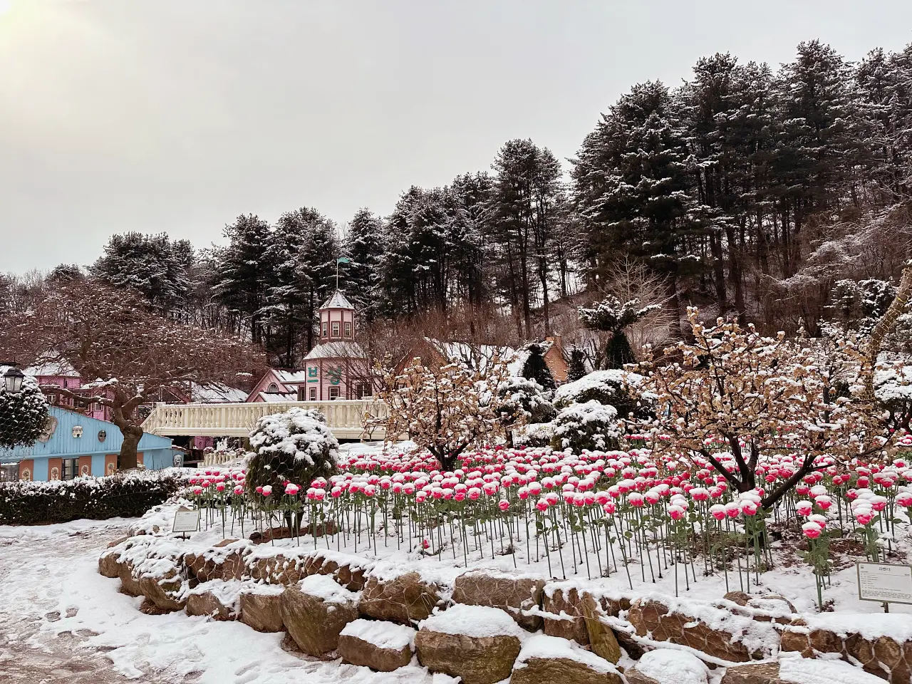香草島樂園 首爾一日遊景點推薦,韓國最大香草植物園白雪皚皚超級浪漫(交通、票價) 香草島樂園 首爾一日遊景點推薦,韓國最大香草植物園白雪皚皚超級浪漫(交通、票價)