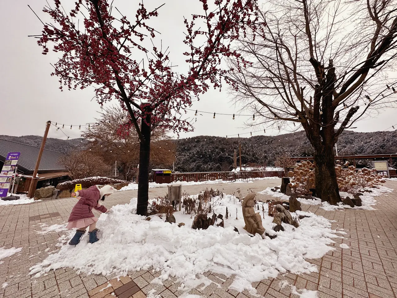 香草島樂園 首爾一日遊景點推薦,韓國最大香草植物園白雪皚皚超級浪漫(交通、票價) 香草島樂園 首爾一日遊景點推薦,韓國最大香草植物園白雪皚皚超級浪漫(交通、票價)