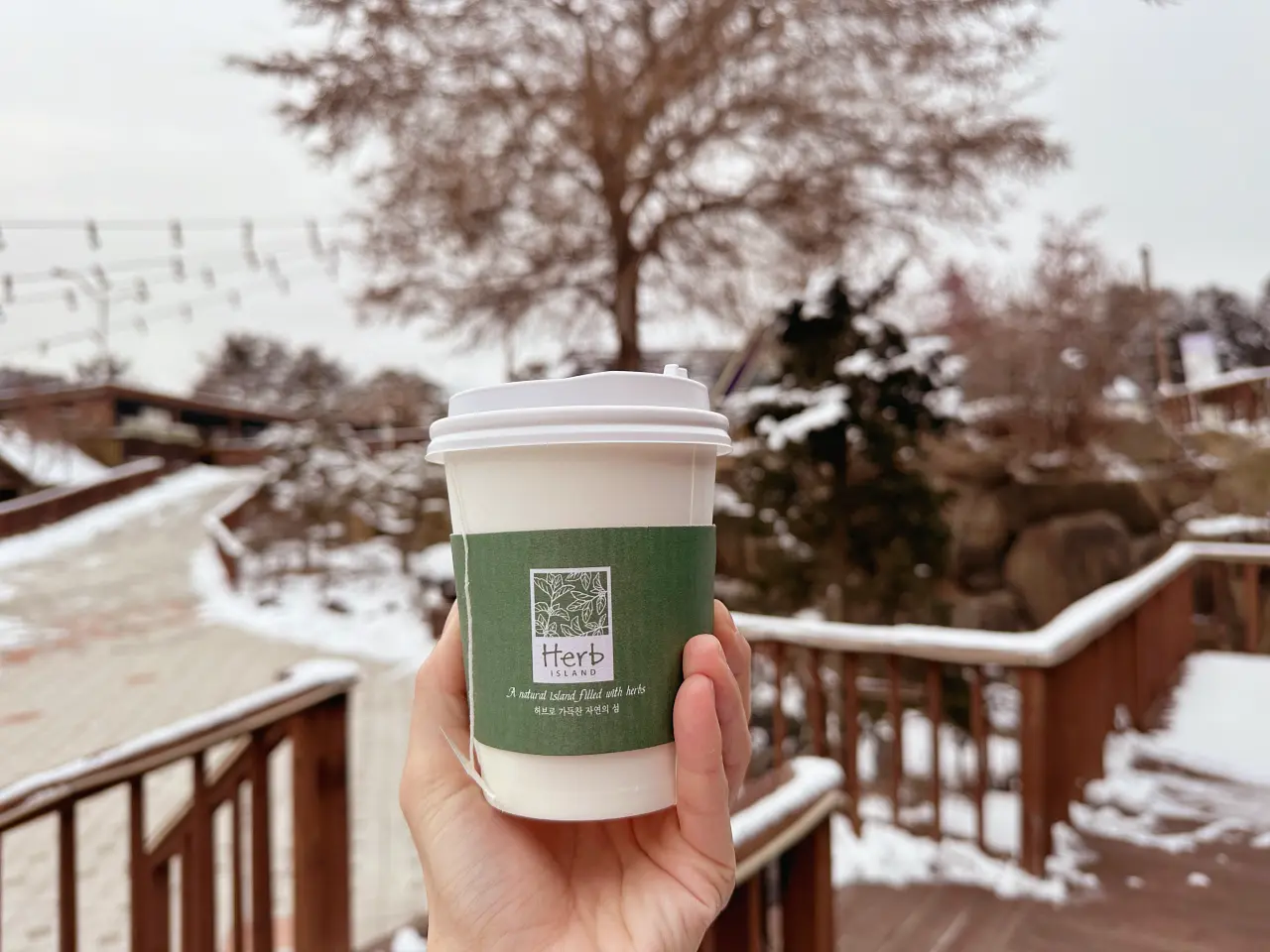 香草島樂園 首爾一日遊景點推薦,韓國最大香草植物園白雪皚皚超級浪漫(交通、票價) 香草島樂園 首爾一日遊景點推薦,韓國最大香草植物園白雪皚皚超級浪漫(交通、票價)