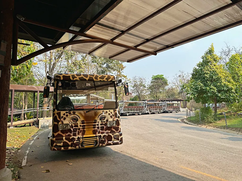 清邁景點「清邁夜間動物園」Chiang Mai Night Safari，下午入園就可以玩到晚上最佳行程攻略看這篇