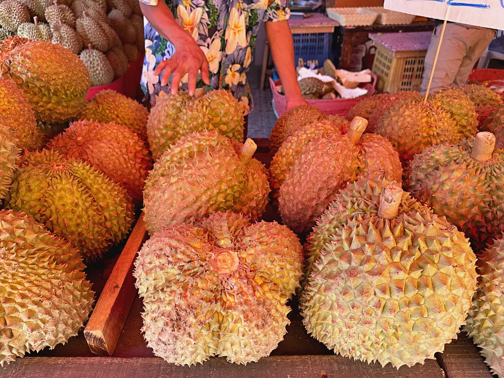 清邁水果市場 清邁水果一條街Muang Mai Market，24小時不打烊一起來當水果大富翁
