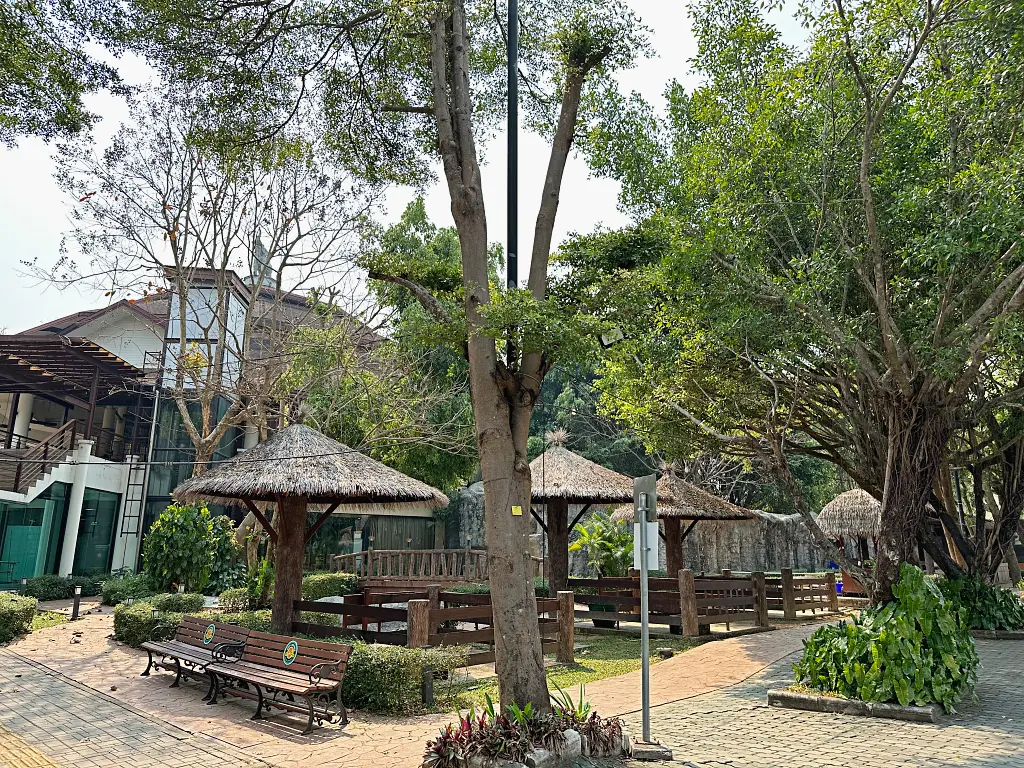 清邁景點「清邁夜間動物園」Chiang Mai Night Safari，下午入園就可以玩到晚上最佳行程攻略看這篇