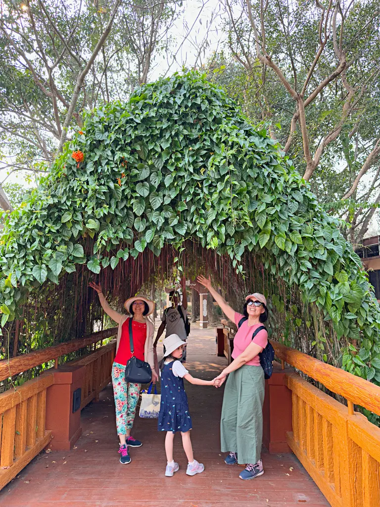清邁景點「清邁夜間動物園」Chiang Mai Night Safari，下午入園就可以玩到晚上最佳行程攻略看這篇