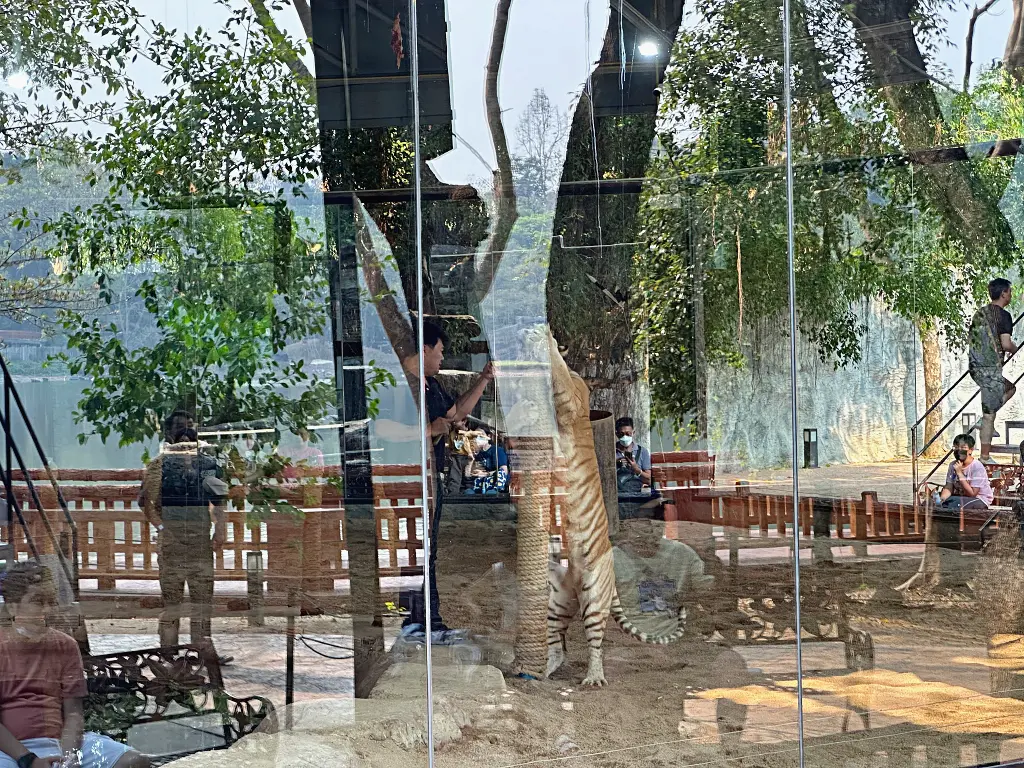 清邁景點「清邁夜間動物園」Chiang Mai Night Safari,下午入園就可以玩到晚上最佳行程攻略看這篇 清邁景點「清邁夜間動物園」Chiang Mai Night Safari,下午入園就可以玩到晚上最佳行程攻略看這篇