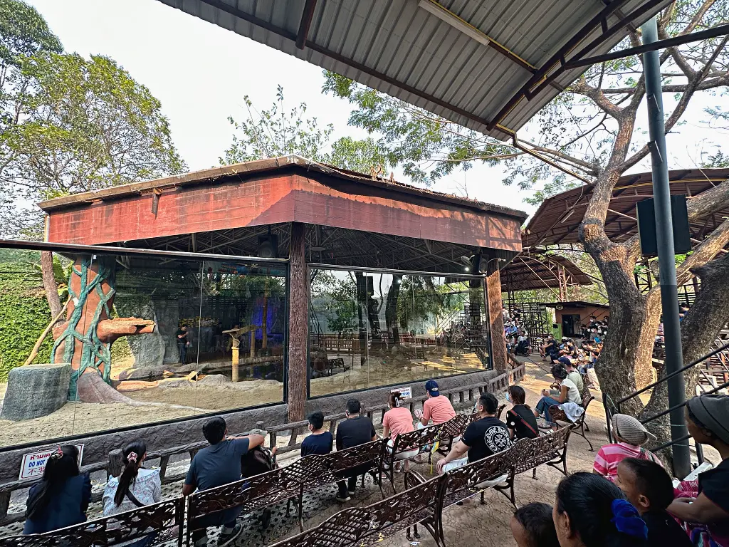 清邁景點「清邁夜間動物園」Chiang Mai Night Safari，下午入園就可以玩到晚上最佳行程攻略看這篇