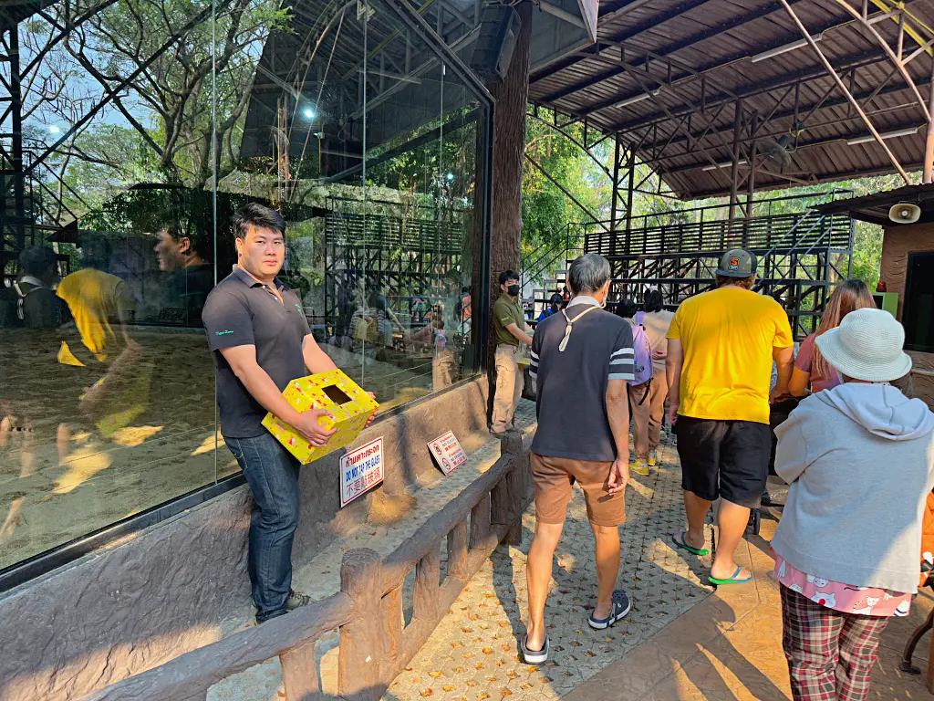 清邁景點「清邁夜間動物園」Chiang Mai Night Safari，下午入園就可以玩到晚上最佳行程攻略看這篇