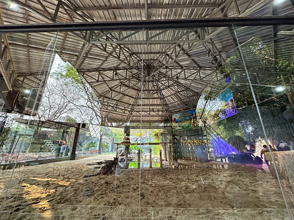 清邁景點「清邁夜間動物園」Chiang Mai Night Safari，下午入園就可以玩到晚上最佳行程攻略看這篇