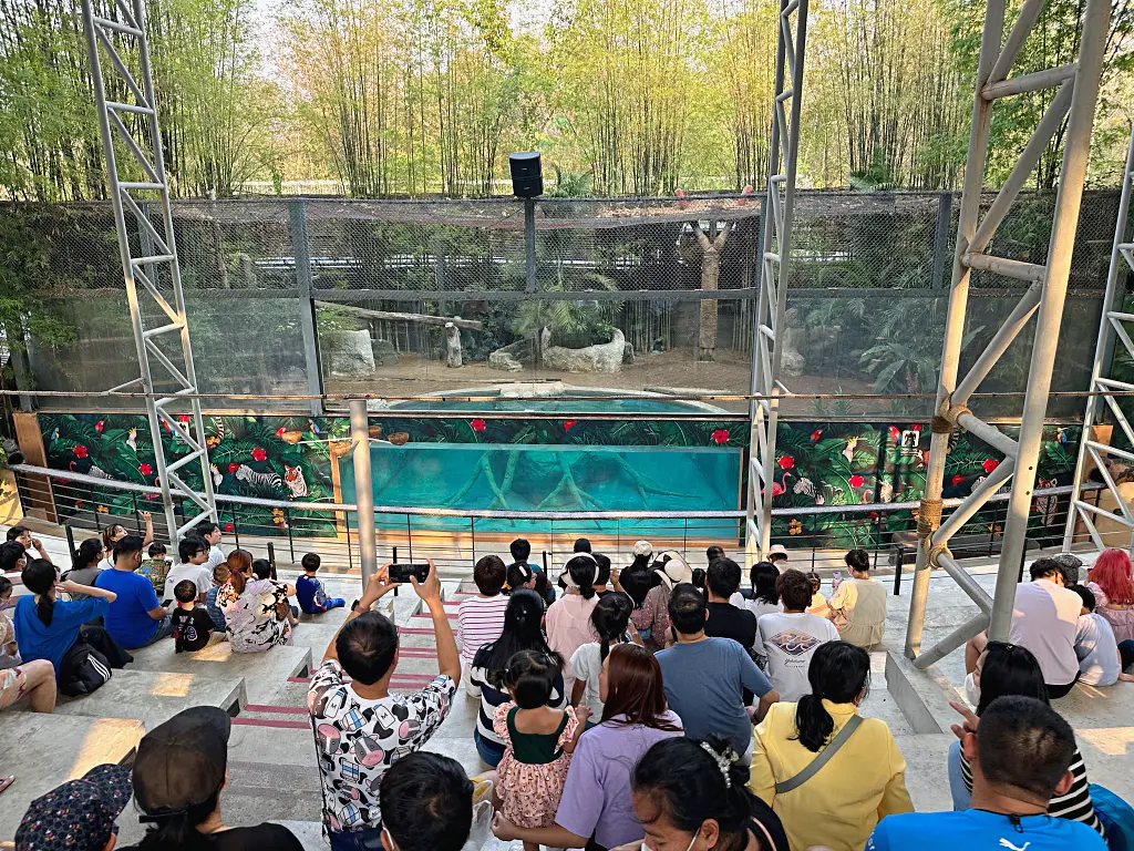 清邁景點「清邁夜間動物園」Chiang Mai Night Safari，下午入園就可以玩到晚上最佳行程攻略看這篇