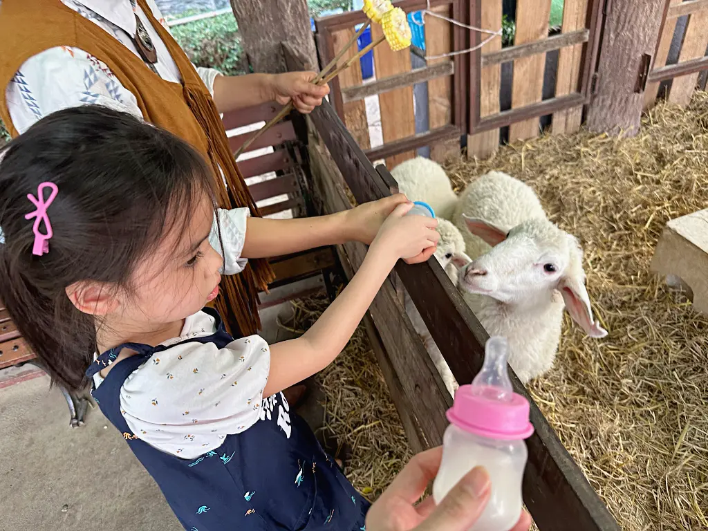 清邁景點「清邁夜間動物園」Chiang Mai Night Safari，下午入園就可以玩到晚上最佳行程攻略看這篇