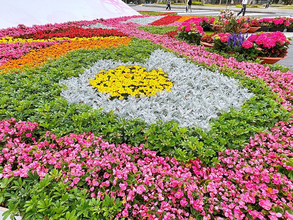 台北花節之城市花毯「花現蝶舞」劍潭捷運賞花免門票 順遊陽明山玩耍吃好料