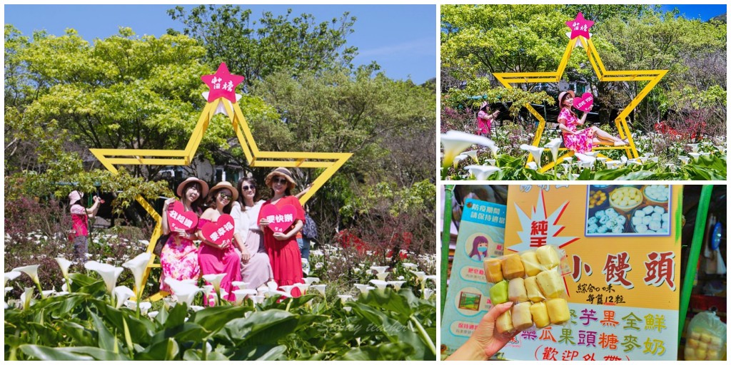台北花節之城市花毯「花現蝶舞」劍潭捷運賞花免門票 順遊陽明山玩耍吃好料