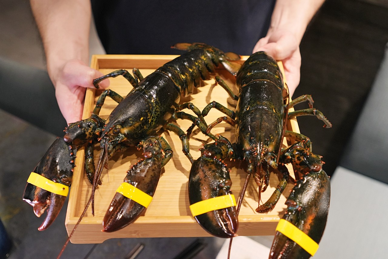 賞鮨手作料理「基隆無菜單料理」店採預約制新鮮創意日料 提前預訂送熟客隱藏版餐點 賞鮨手作料理「基隆無菜單料理」店採預約制新鮮創意日料 提前預訂送熟客隱藏版餐點