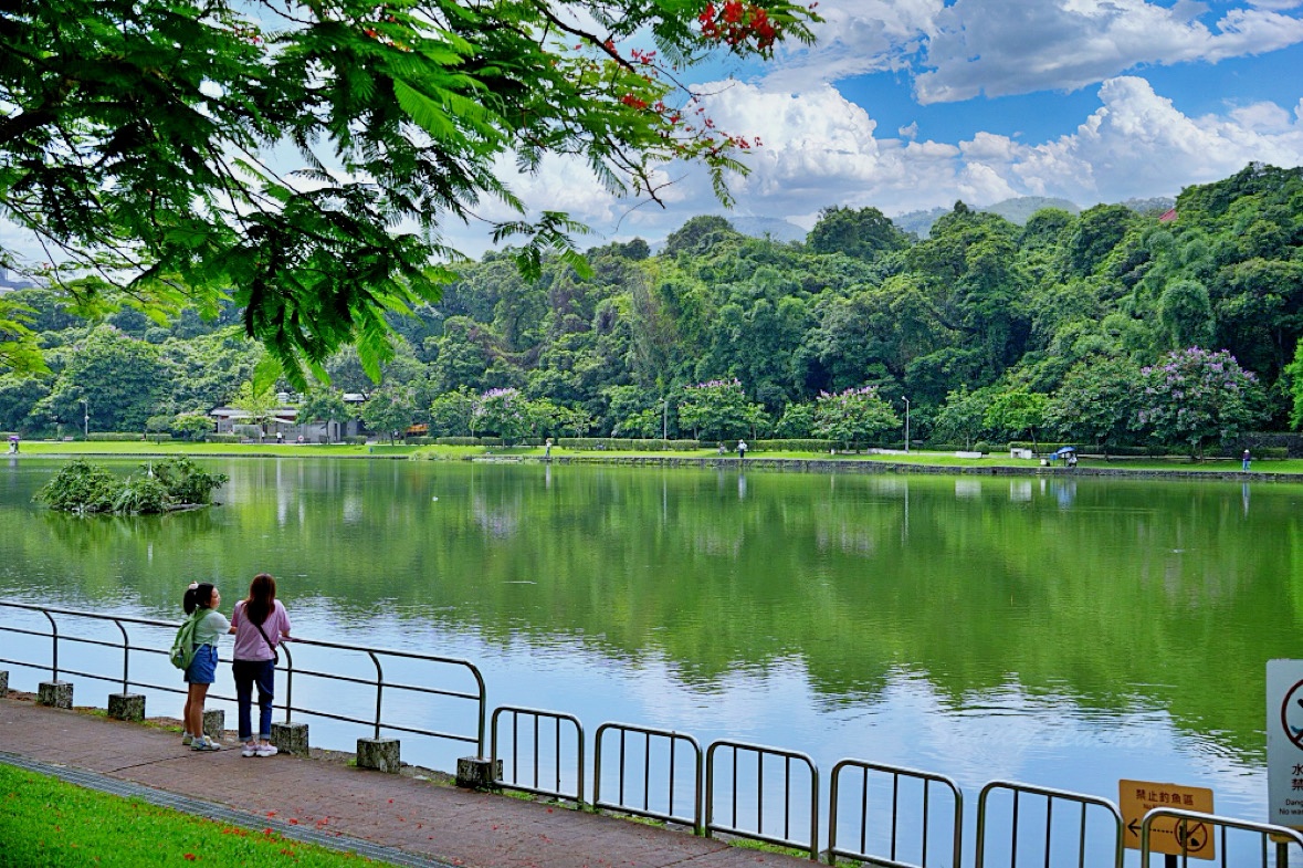 「象園咖啡內湖店」台北市唯一面碧湖景觀家庭餐廳生日月贈可愛緞帶小象鬆餅（新菜單）