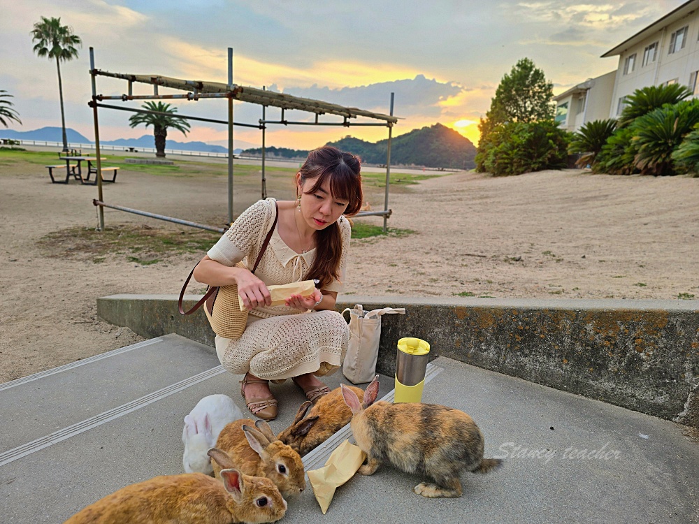 【廣島旅遊】廣島兔子島「大久野島休暇村住宿一泊二食」不跟團自駕坐船登島超EASY