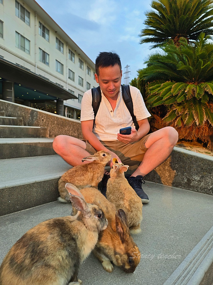 【廣島旅遊】廣島兔子島「大久野島休暇村住宿一泊二食」不跟團自駕坐船登島超EASY